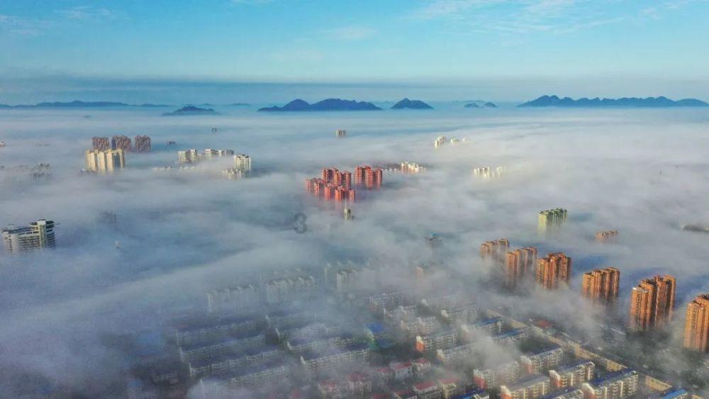 古龙究竟爱酒到什么程度?因喝酒离世,棺材内放了49瓶XO酒陪葬